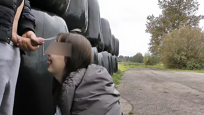 Plaisir oral en plein air et exposition du public près d'une autoroute